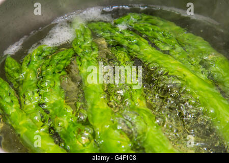 L'asperge verte est la cuisson, faire bouillir, mijoter, dans une casserole, Banque D'Images