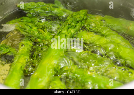 L'asperge verte est la cuisson, faire bouillir, mijoter, dans une casserole, Banque D'Images