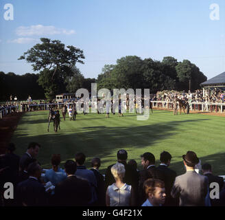 Les courses de chevaux - Threadneedle Street - Kempton Park Racecourse Banque D'Images