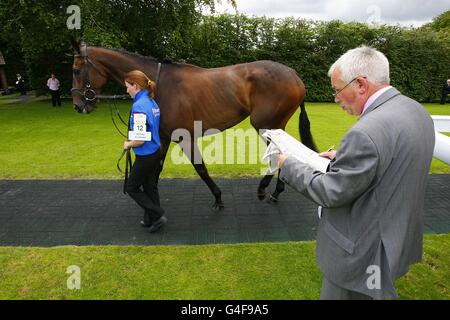 Courses hippiques - 2011 glorieux Goodwood Festival - glorieux Sussex Stakes Day - Hippodrome de Goodwood.Un coureur vérifie la forme des chevaux dans l'anneau de parade contre son guide Banque D'Images