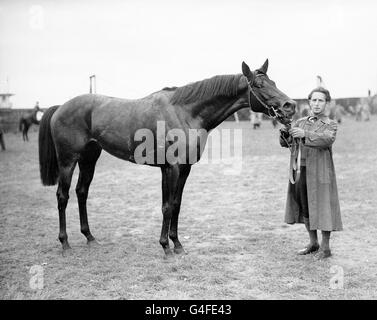 Horse Racing - Courses Mai - Hippodrome de Kempton Park Banque D'Images