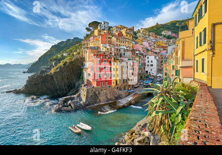 Riomaggiore, Cinque Terre National Park, Ligurie, Italie, l'UNESCO Banque D'Images