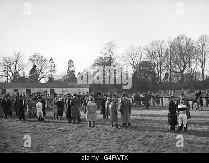 Les courses de chevaux - Kempton Park Racecourse Banque D'Images