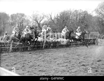 Prendre le premier obstacle de la course de St Margare est (l-r) Madame l'Amirale, mystérieuse LAD, Michale Peter, Abracadabra et Prince Rose II Banque D'Images