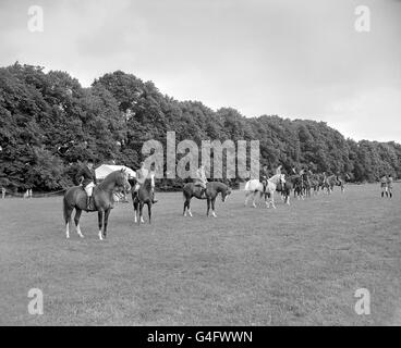 Horse Show - Le cheval arabe Society Show - Kempton Park Racecourse Banque D'Images