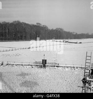 Les courses de chevaux - Annulé réunion de janvier - Kempton Park Racecourse Banque D'Images