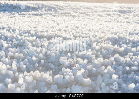 Peu de glaçons ronde formé autour de feuilles d'herbe sur le terrain Banque D'Images
