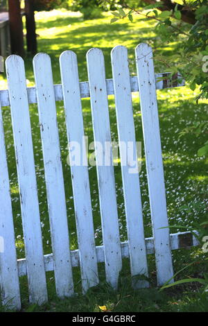 Weathered barrière en bois blanc est ouvert, l'Irlande. Banque D'Images