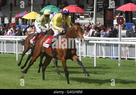 Les courses de chevaux - le domaine irlandais St. Comptabilité générale/Goffs Enjeux nationaux - Curragh Hippodrome Banque D'Images