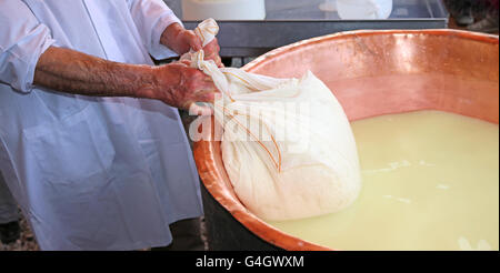 Senior expert fromager collecte le fromage avec la toile de la grande vasque en cuivre rempli de lait et lactosérum Banque D'Images