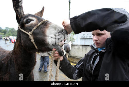 Ould Lammas Fair.Ross McAuley, de Banbridge, à la foire d'Ould Lammas à Ballycastle, Co Antrim. Banque D'Images