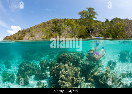 Snorkeler sur les coraux en eaux peu profondes, Raja Ampat, Papouasie occidentale, en Indonésie Banque D'Images