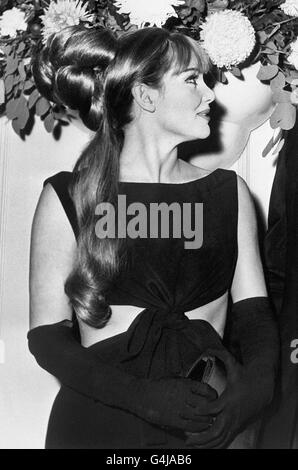 L'actrice Diane Cilento à la première royale au Astoria Theatre, Londres, du film "The Agony and the Ecstasy". Banque D'Images