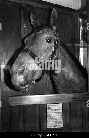 The Nags Head/Museum Banque D'Images