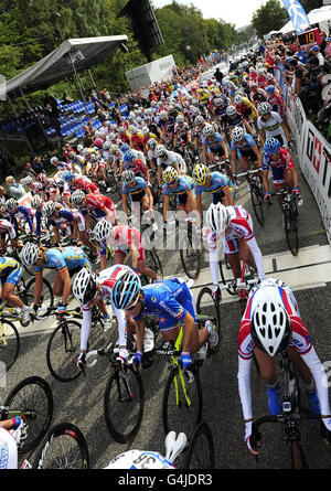 La course Elite Road Race pour femmes, qui comprend une équipe britannique forte avec Nicole Cooke, championne olympique, aux côtés de Lizzie Armitstead et d'Emma Pooley, commence le sixième jour des Championnats du monde UCI Road Race, à Copenhague. Banque D'Images