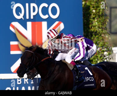 Les courses de chevaux - QIPCO Champions britanniques Jour - Ascot Racecourse Banque D'Images