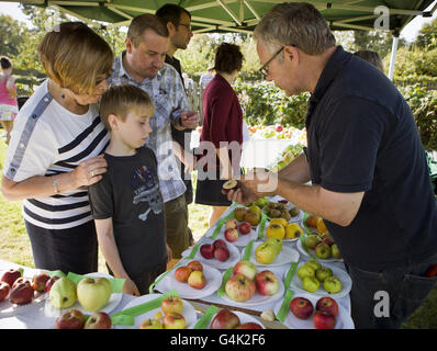 James Walters, huit ans, son père Mark et sa grand-mère Barbara, de Wilmslow, Cheshire, parlent des pommes avec le jardinier en chef Alan Knapper à l'usine de banque de carrière du National Trust et au domaine de Styal à Cheshire alors que le National Trust célèbre 4 millions de membres. Banque D'Images