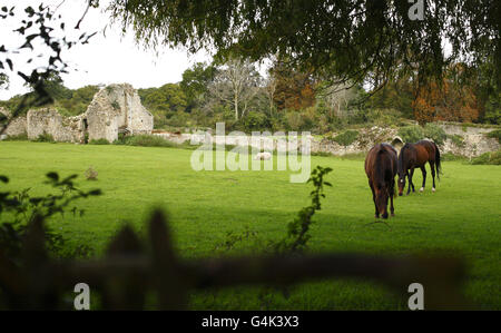 Quarr Abbey stock.Une vue générale des ruines du XIIe siècle de l'abbaye de Quarr près de Ryde sur l'île de Wight. Banque D'Images