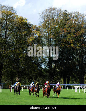 Les courses de chevaux - Hunt - Hippodrome de Worcester Banque D'Images