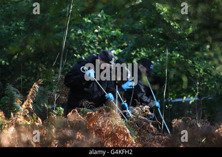 Les policiers fouchent près de la scène où le corps d'un policier a été trouvé à Blackdown Woods, à Haslemere, dans le Surrey. Banque D'Images