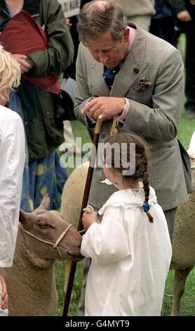 Spectacle du Yorkshire/Prince Charles.Le Prince de Galles visite les lignes de moutons, lors de sa visite au Great Yorkshire Show à Harrogate. Banque D'Images