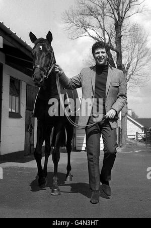 Le chanteur gallois Tom Jones avec le cheval de course « Walk on by! » Qu'il vient d'acheter pour une somme non divulguée aux écuries de Brian Swift à Epsom, dans le Surrey. Le cheval de course porte le nom d'une chanson pop de Burt Bacharach, chantée à l'origine par Dionne Warwick. Banque D'Images