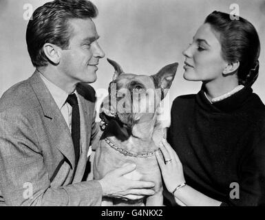 Film - Joan Collins - Shepperton Studios, Middlesex Banque D'Images