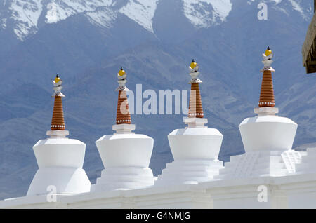 Stupas près de monastère Shey, près de Leh, Ladakh, Inde Banque D'Images