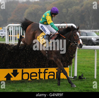 Les courses de chevaux - Betfair Chase Raceday - Haydock Park Racecourse Banque D'Images