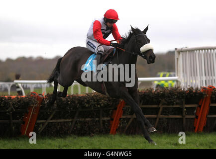 Big Bucks, monté par Ruby Walsh, saute la dernière sur le chemin de la victoire dans l'obstacle longue distance Sportingbet lors de la Hennessy Gold Cup Day du Festival d'hiver Sportingbet à Newbury Racecourse, Newbury. Banque D'Images