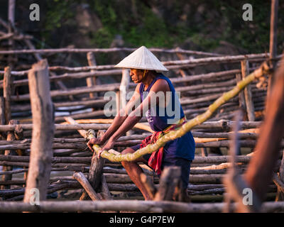 19 juin 2016 - Don Khone, Champassak, Laos - Un pêcheur recherche le Mékong à Khon Pa Soi Cascades, sur le côté est de Don Khon. C'est le plus petit des deux chutes d'eau en Don Khon. Les pêcheurs ont construit un système complexe de ponts de cordes au-dessus des chutes qu'ils utilisent pour se rendre à l'pièges à poissons. Les pêcheurs de la région sont aux prises avec une baisse des rendements et les petits poissons, qui menaçaient leur mode de vie. Le Mékong est l'un des plus riches et productifs fleuves sur Terre. C'est un haut lieu mondial pour les poissons d'eau douce : plus de 1 000 espèces ont été enregistrées il y a, en second lieu seulement Banque D'Images