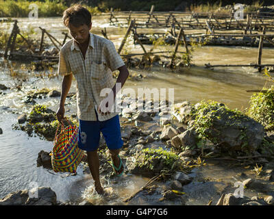 19 juin 2016 - Don Khone, Champassak, Laos - Un pêcheur promenades jusqu'à la terre avec ses prises à Khon Pa Soi Cascades, sur le côté est de Don Khon. C'est le plus petit des deux chutes d'eau en Don Khon. Les pêcheurs ont construit un système complexe de ponts de cordes au-dessus des chutes qu'ils utilisent pour se rendre à l'pièges à poissons. Les pêcheurs de la région sont aux prises avec une baisse des rendements et les petits poissons, qui menaçaient leur mode de vie. Le Mékong est l'un des plus riches et productifs fleuves sur Terre. C'est un haut lieu mondial pour les poissons d'eau douce : plus de 1 000 espèces ont été enregistrées, il y a sec Banque D'Images