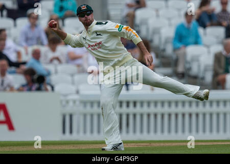 London, UK.19 juin 2016. Brendan Taylor fielding pour Dorset le premier jour de la Division du Championnat du comté de Specsavers un match contre Surrey à l'Ovale. David Rowe/Alamy live news. Banque D'Images