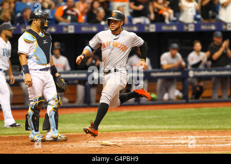 Saint Petersburg, Florida, USA. 19 Juin, 2016. Vous VRAGOVIC | fois.le voltigeur des Giants de San Francisco Gregor Blanco (7) scores sur un seul par Giants de San Francisco le deuxième but Joe Panik (12) dans la huitième manche du match entre les Giants de San Francisco et les Rays de Tampa Bay au Tropicana Field à Saint-Pétersbourg, en Floride, le dimanche, 19 juin 2016. © Vous Vragovic/Tampa Bay Times/ZUMA/Alamy Fil Live News Banque D'Images