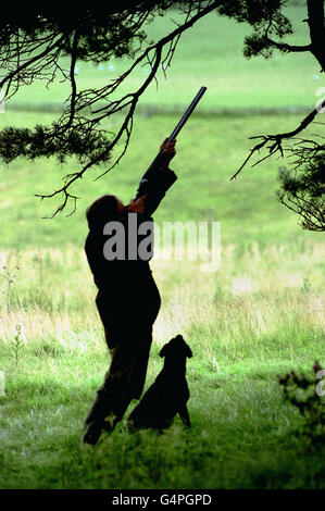 Le gardien de chasse aux frontières écossais Dave Sutton et son chien se préparent près de Peebles pour le début de la saison de tir du Grouse le 12 août. Banque D'Images