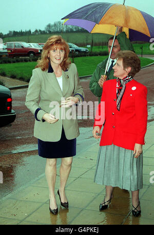 La duchesse de York, Sarah Ferguson, patronne de la Motor neurone Disease Association, arrive au centre viticole de Denbies, Dorking, pour le déjeuner annuel de la branche de Surrey et du sud de Londres de la MNDA. Banque D'Images