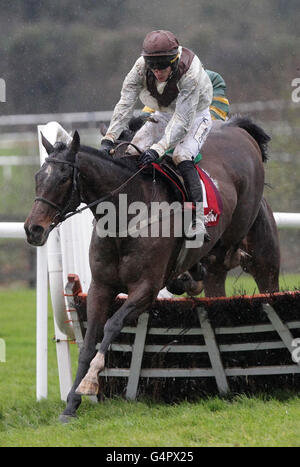 Les courses de chevaux - John Durkan Chase Memorial Day - Punchestown Racecourse Banque D'Images