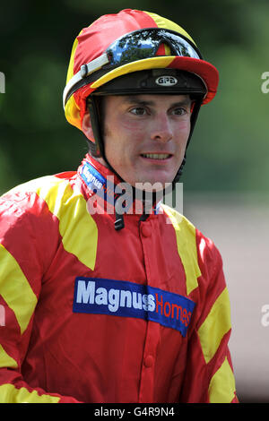 Les courses de chevaux - Verre fois Raceday - Haydock Park Banque D'Images