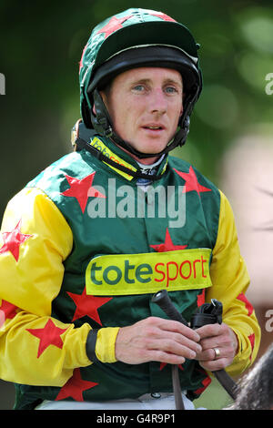 Les courses de chevaux - Verre fois Raceday - Haydock Park Banque D'Images