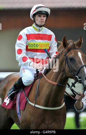 Courses hippiques - Glass Times Raceday - Haydock Park. Fergus Sweeney, jockey Banque D'Images