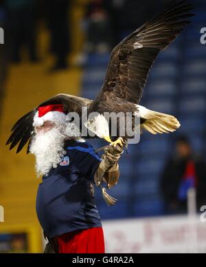 La mascotte de Crystal place Kayla, l'aigle royal nord-américain, apparaît avec son maître habillé comme le Père Noël Banque D'Images