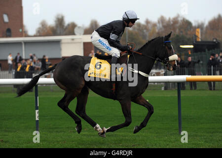 Les courses de chevaux - Betfair Chase Raceday - Haydock Park Racecourse Banque D'Images