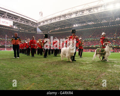 Les chèvres régimentaires des Fusiliers Royal Welch et du Royal Regiment of Wales lors de la cérémonie d'ouverture de la coupe du monde de rugby 1999 au Millennium Stadium de Cardiff. Banque D'Images