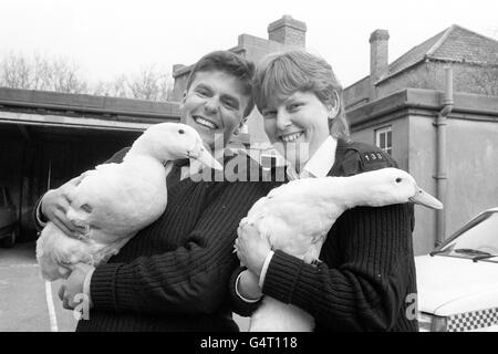 Deux canards, chanceux d'être en vie après avoir été congelés dans une surface d'étang à St George's Park, Bristol, se rétablissent à un poste de police local dans les bras de Tim Chandler et Ann Mail de PC. La police a libéré les oiseaux hier après avoir été alertée de leur sort par les écoliers Banque D'Images