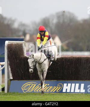 Courses hippiques - le William Hill Winter Festival 2011 - King George VI Steeple Chase - Kempton Park.Les Grands crus, criblés par Tom Scudamore, sautent la clôture finale pour remporter le Steeple Chase de Feltham Novices williamhill.com Banque D'Images