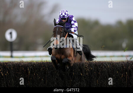 Raventree, monté par Jockey Paddy Brennan, saute le dernier Continuez et gagnez l'adhésion au club de golf Southwell Poursuite pour handicap Banque D'Images