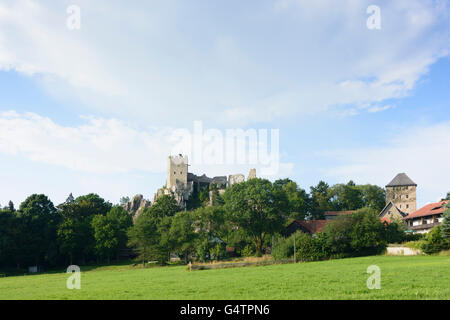 Château de Weißenstein, Regen, Allemagne, Bavière, Bayern, Niederbayern, Basse-Bavière Banque D'Images