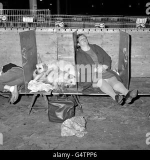 Animaux - Mesdames Kennel Association Championship Show - London Banque D'Images