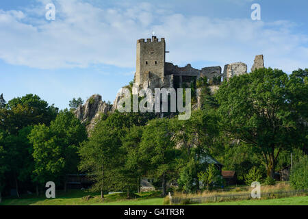 Château de Weißenstein, Regen, Allemagne, Bavière, Bayern, Niederbayern, Basse-Bavière Banque D'Images