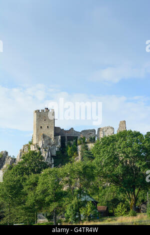 Château de Weißenstein, Regen, Allemagne, Bavière, Bayern, Niederbayern, Basse-Bavière Banque D'Images